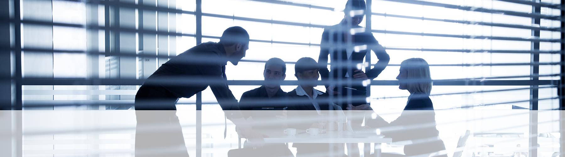 conseil, formation, audit et coaching